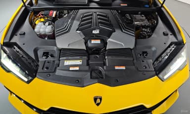 Urus