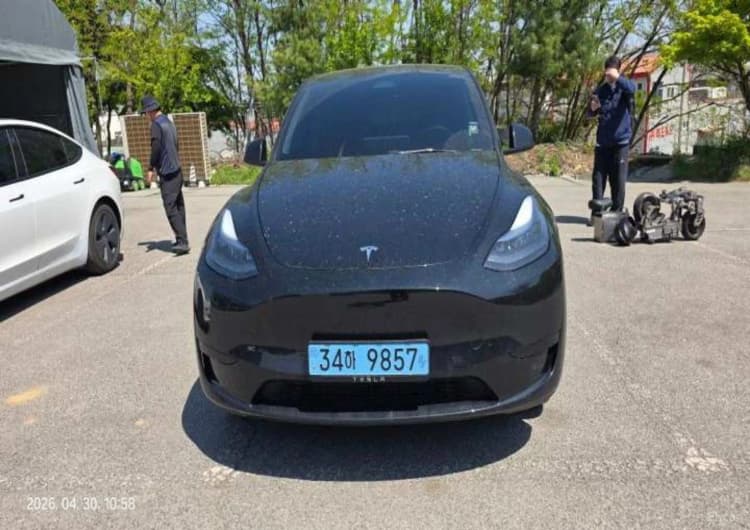 Model Y
