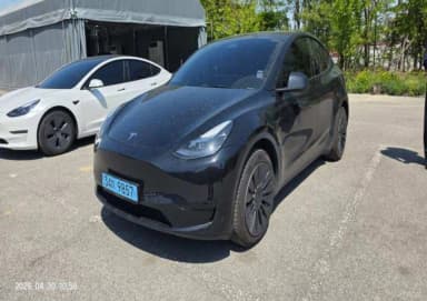 Model Y