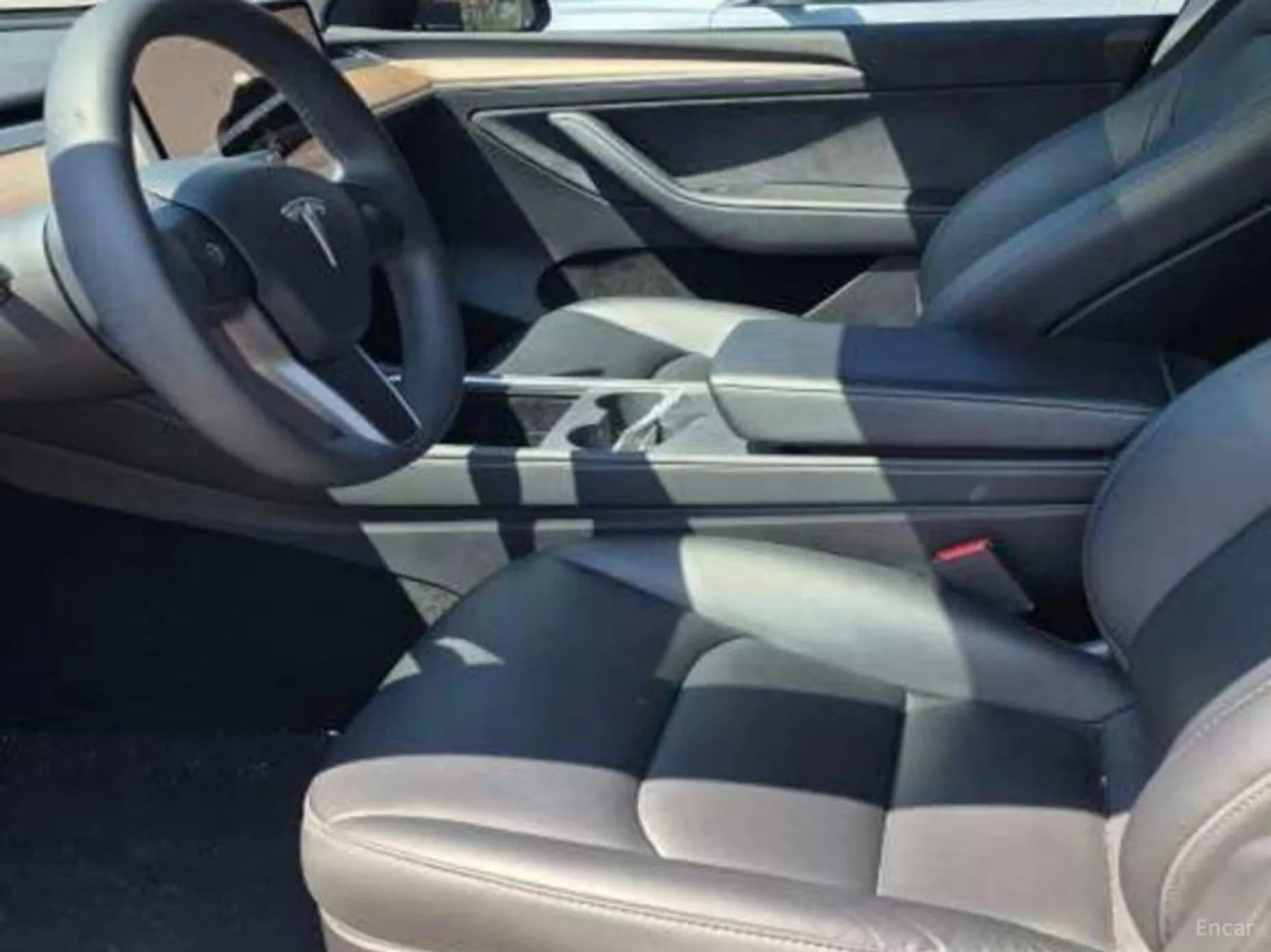 Model Y