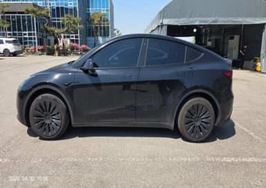 Model Y