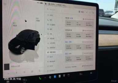 Model Y