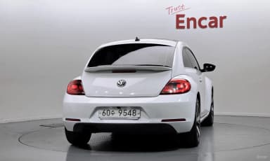 The Beetle