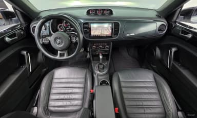 The Beetle