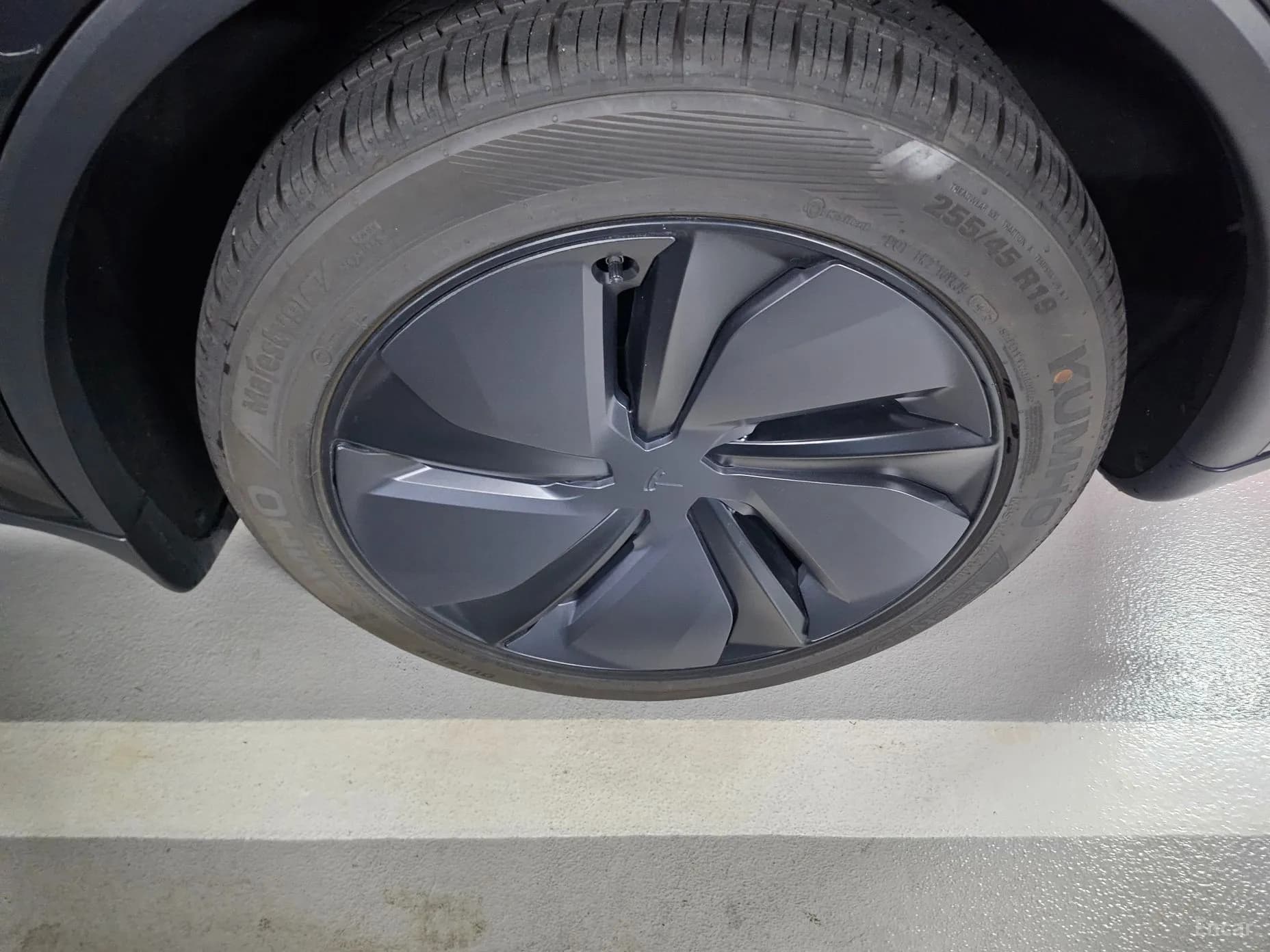 Model Y
