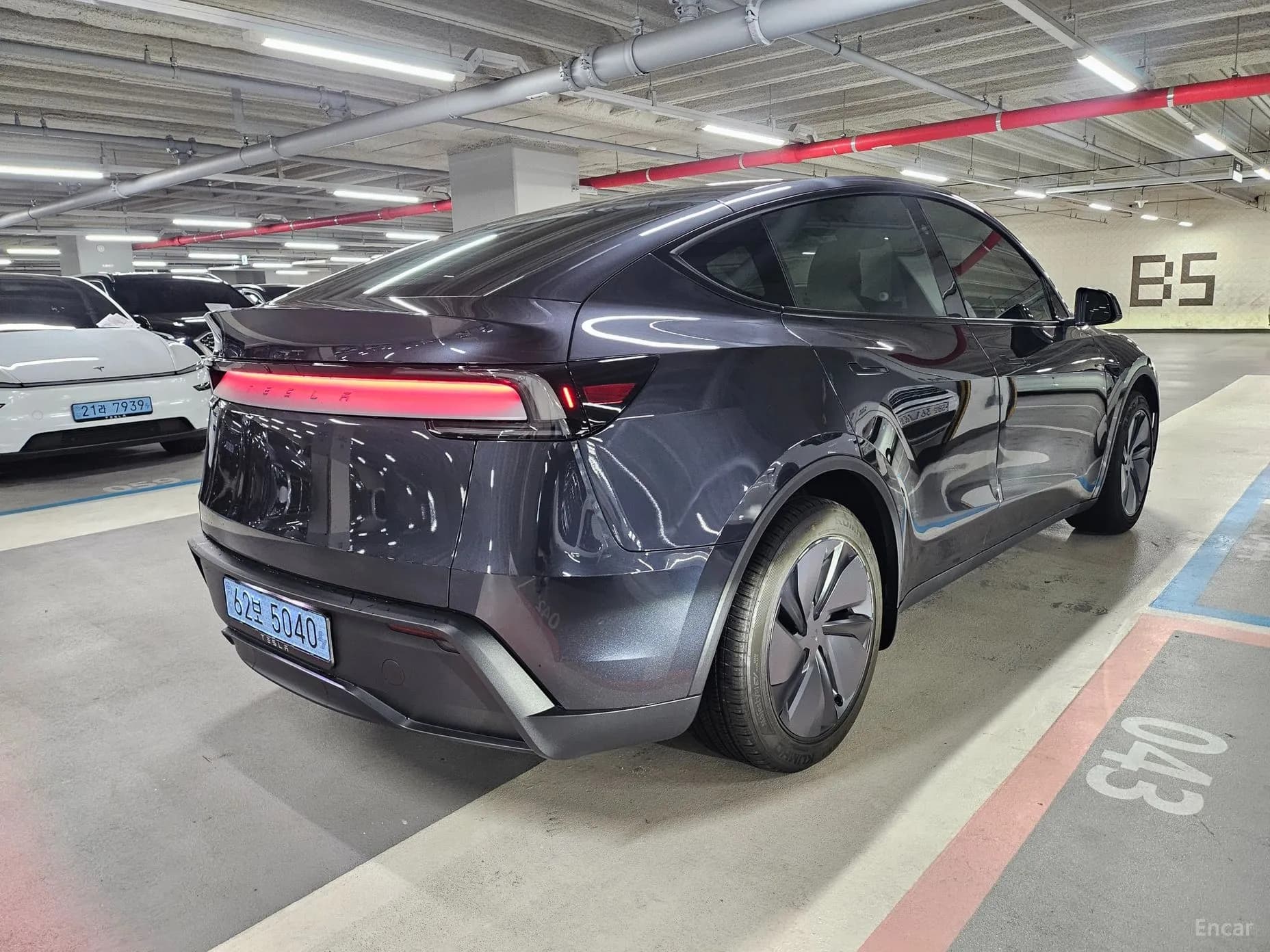 Model Y