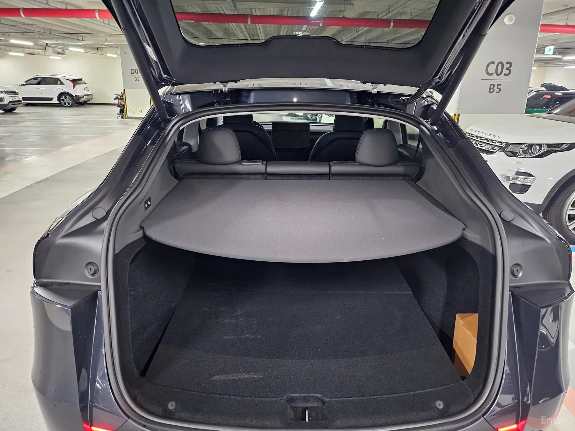 Model Y