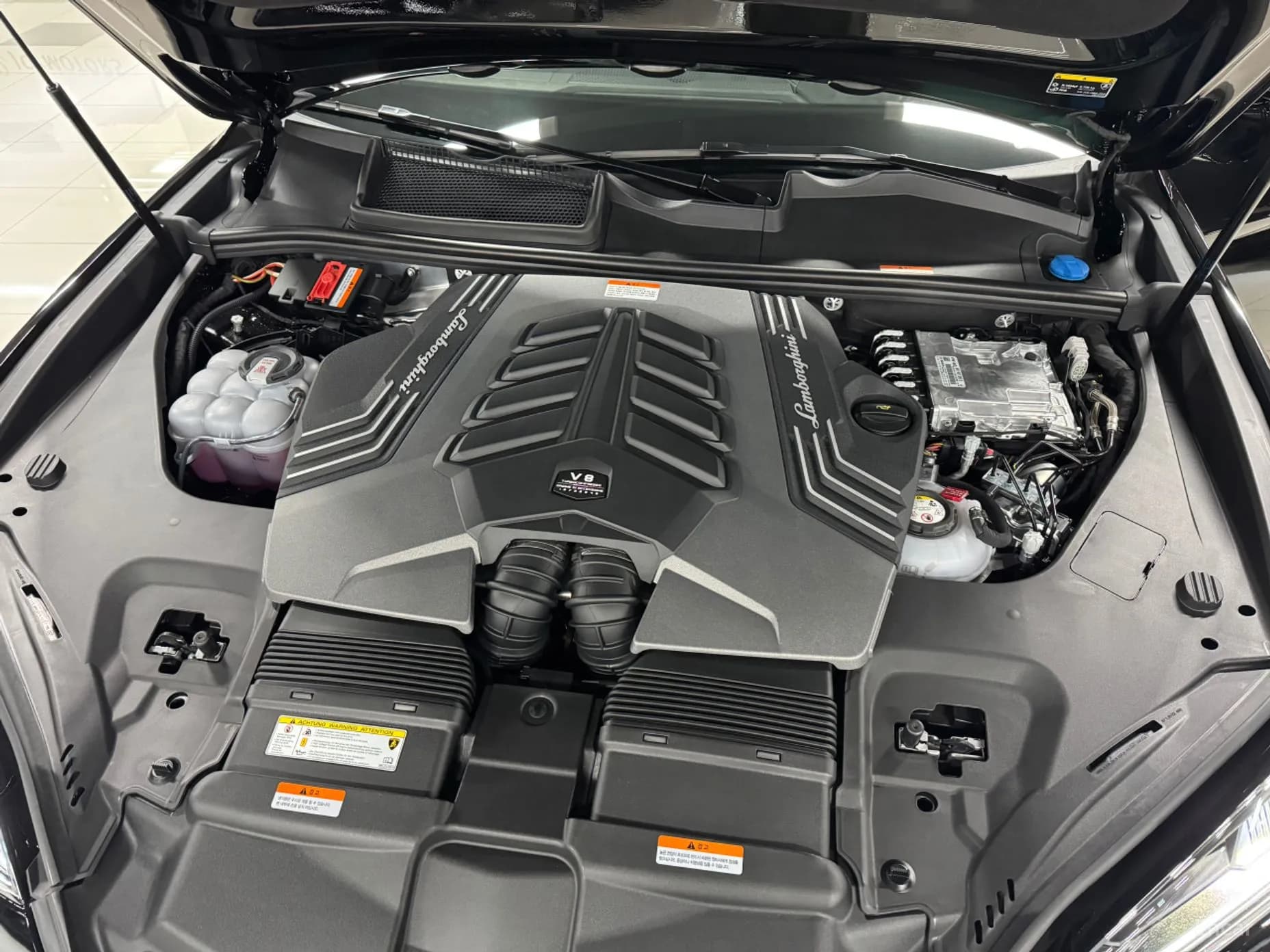 Urus