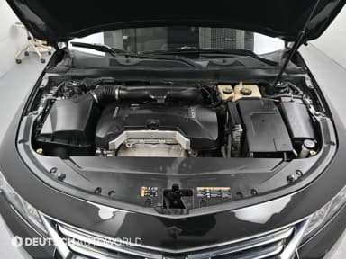 Impala