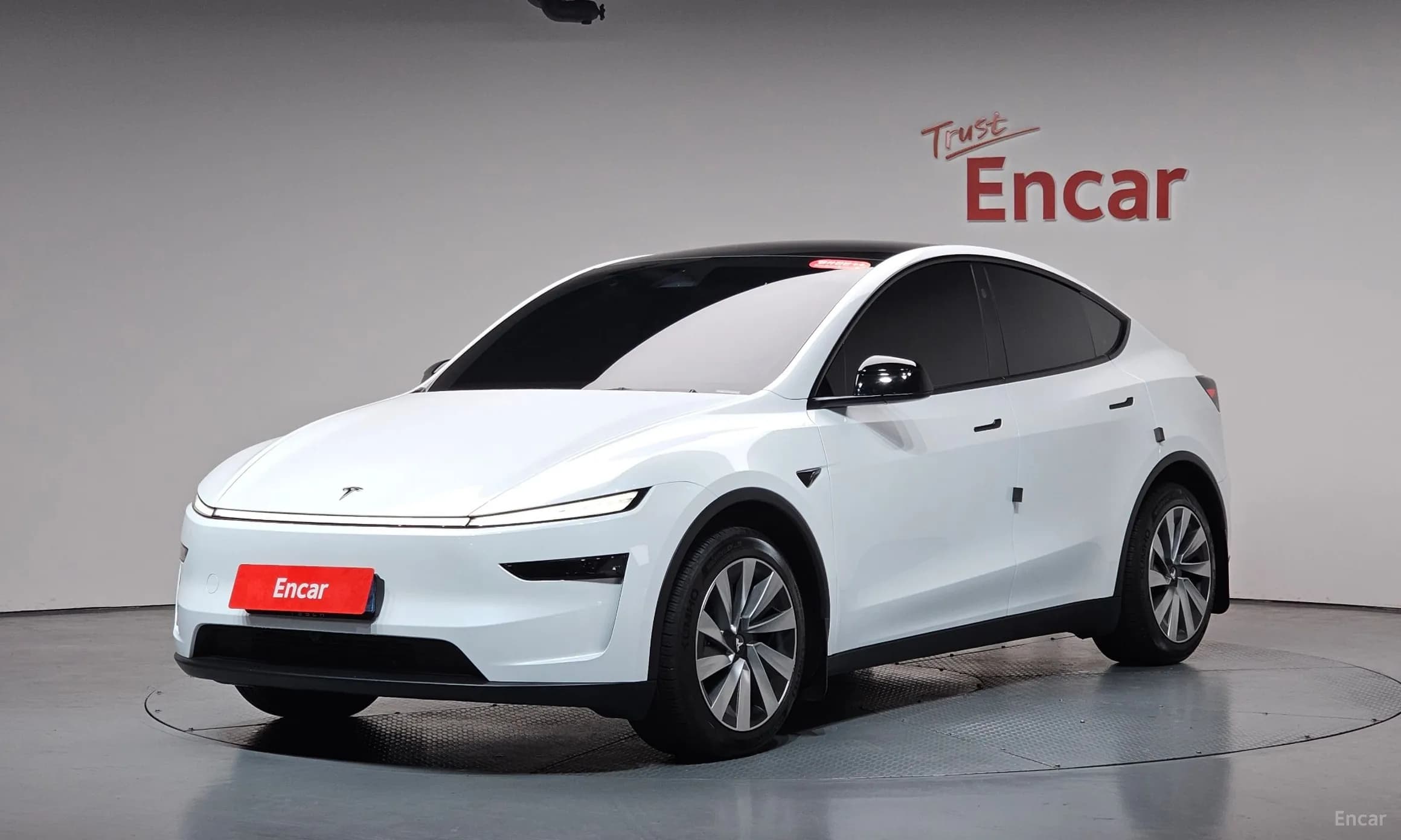Model Y