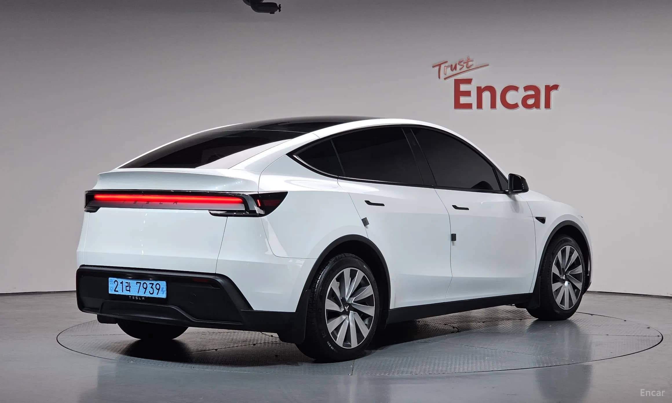 Model Y