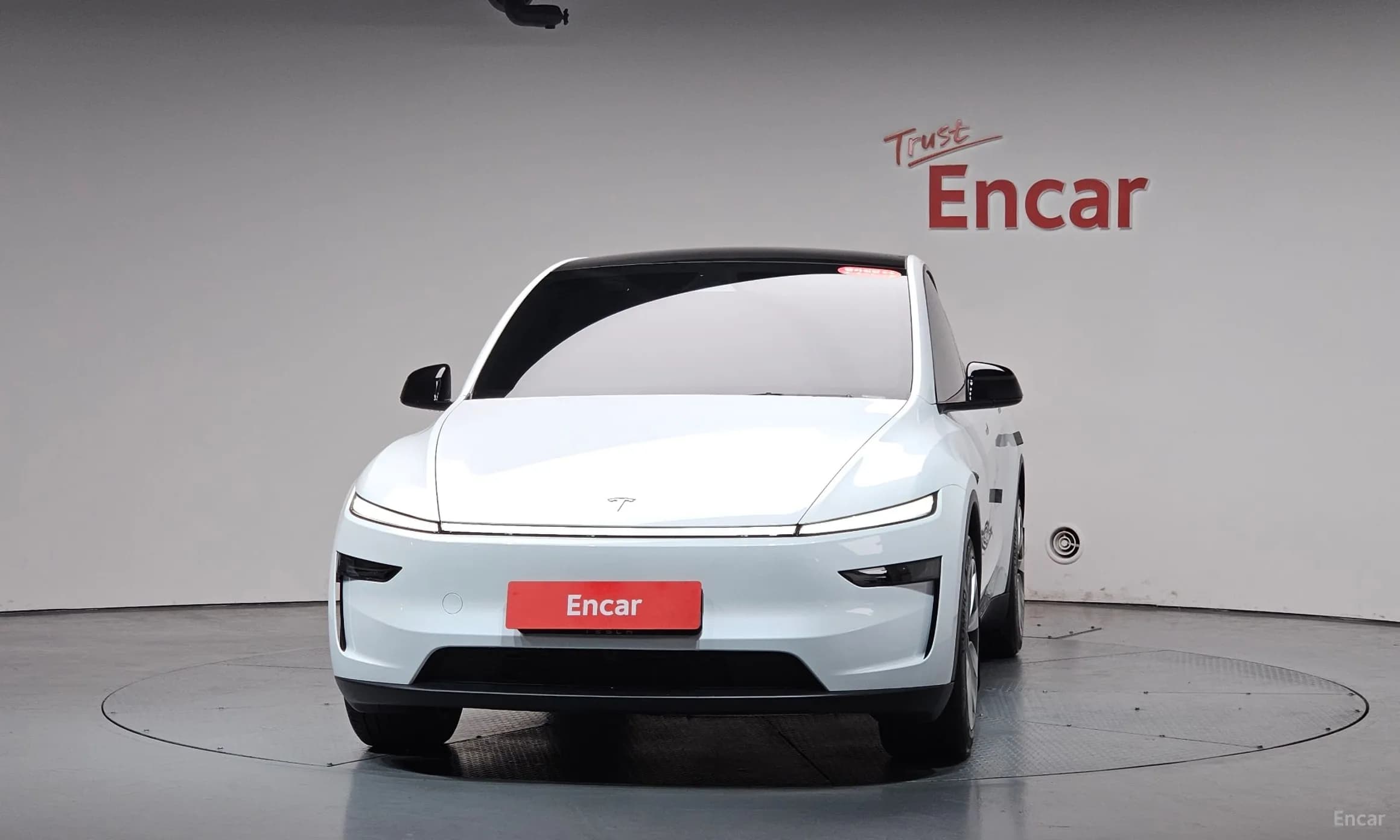 Model Y