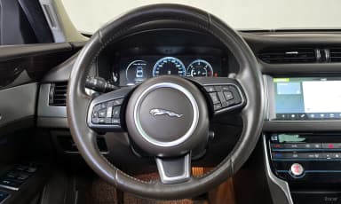 XF (x260)