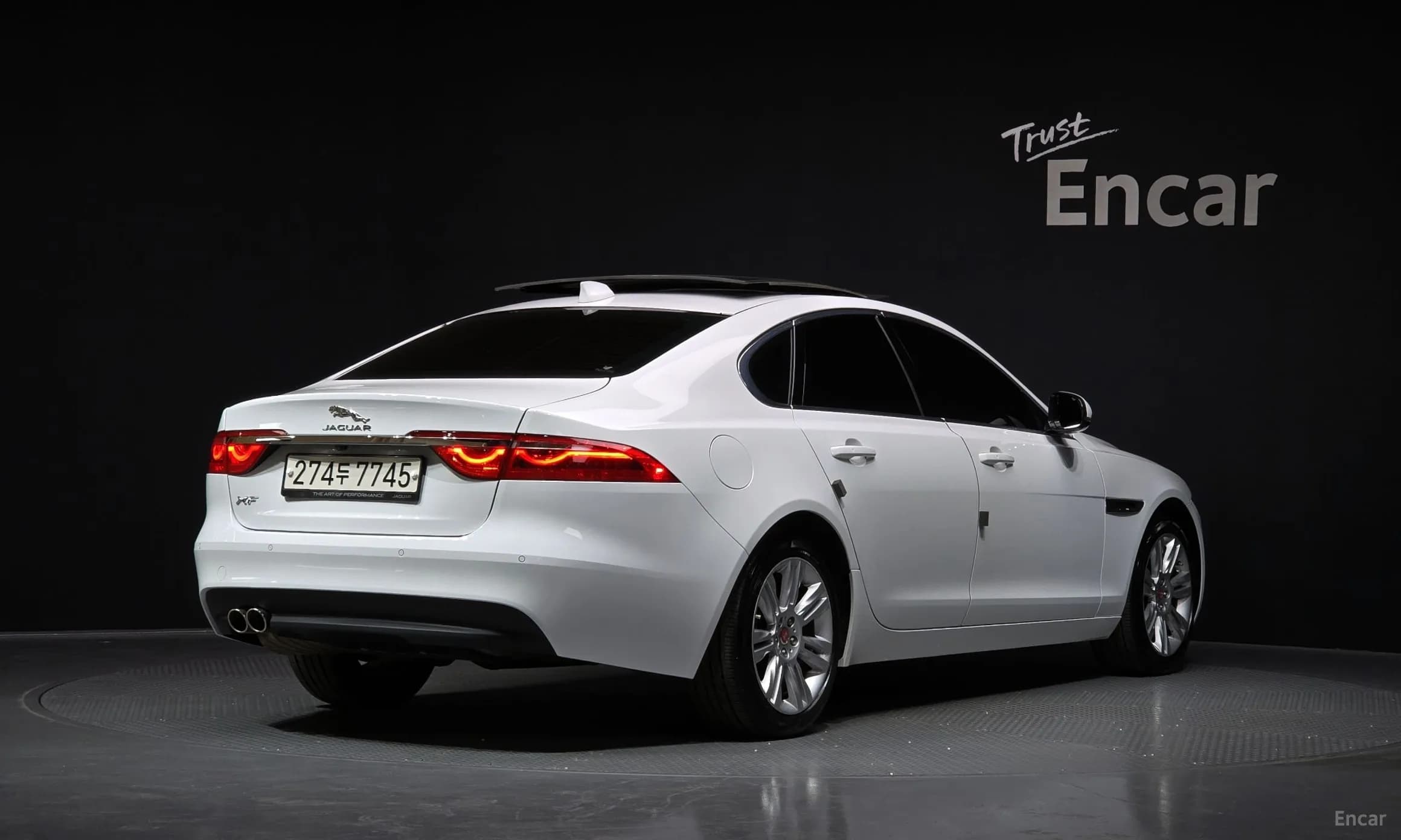 XF (x260)
