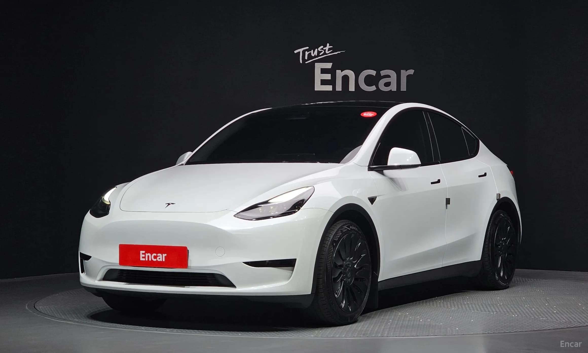 Model Y