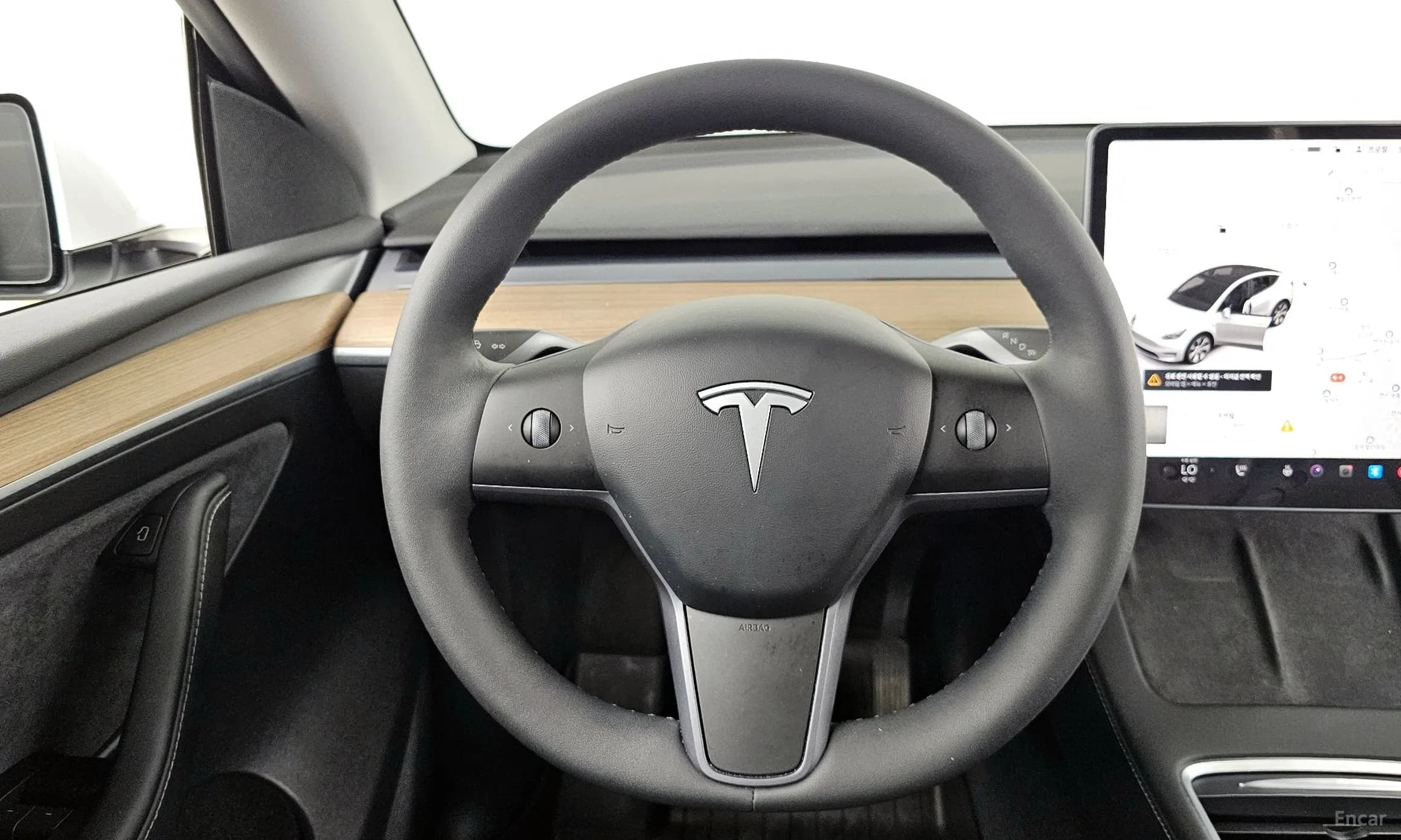 Model Y
