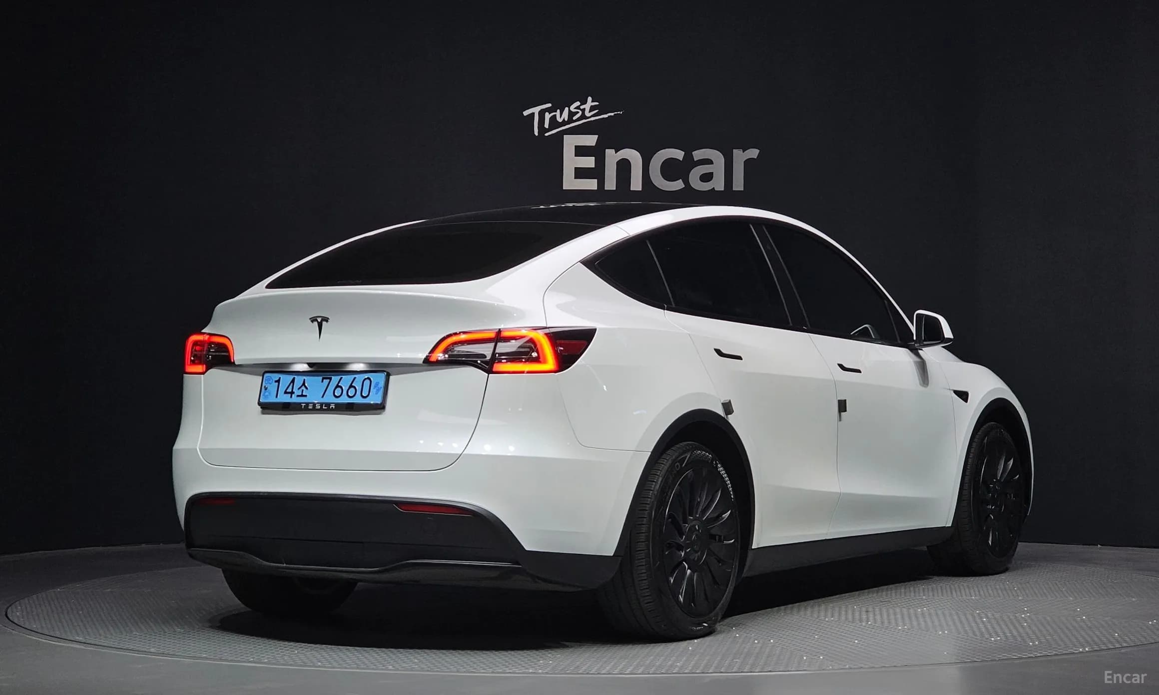 Model Y