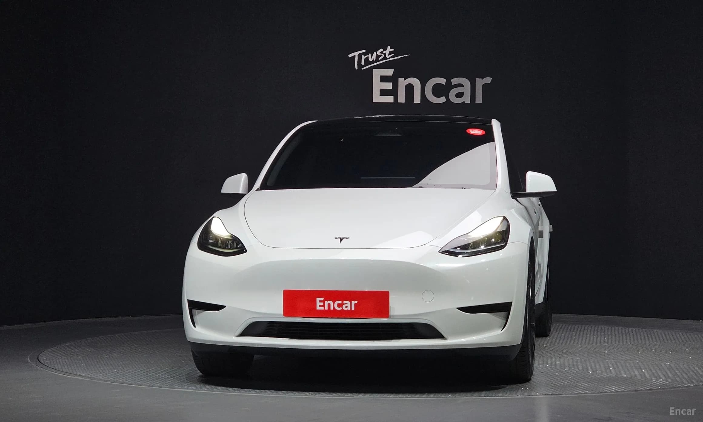 Model Y
