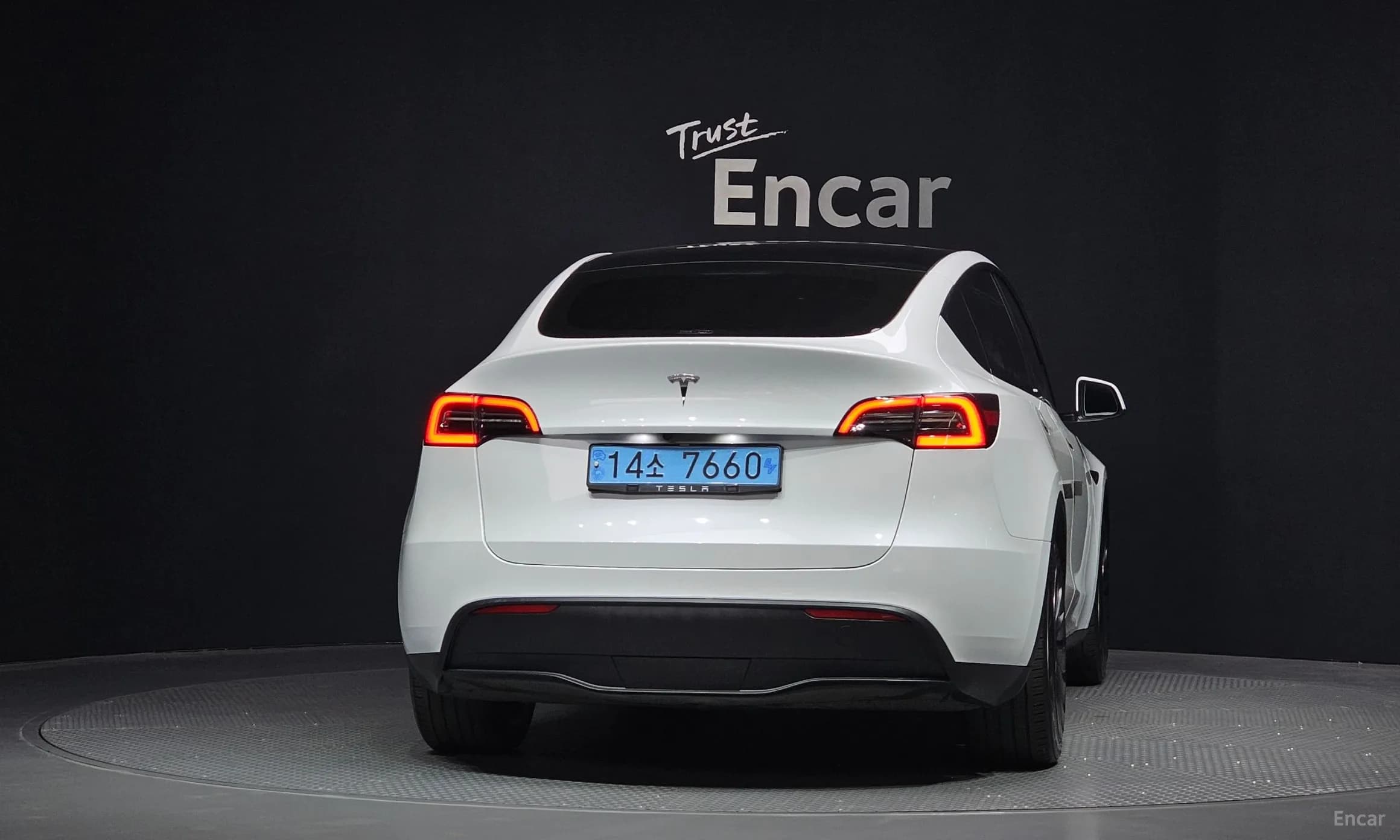 Model Y