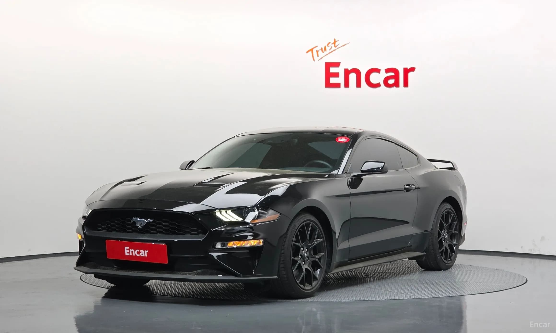 Mustang