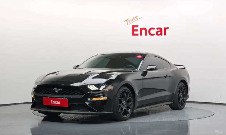 Mustang