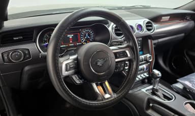 Mustang