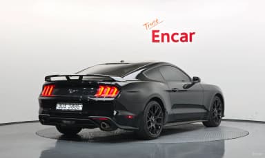 Mustang