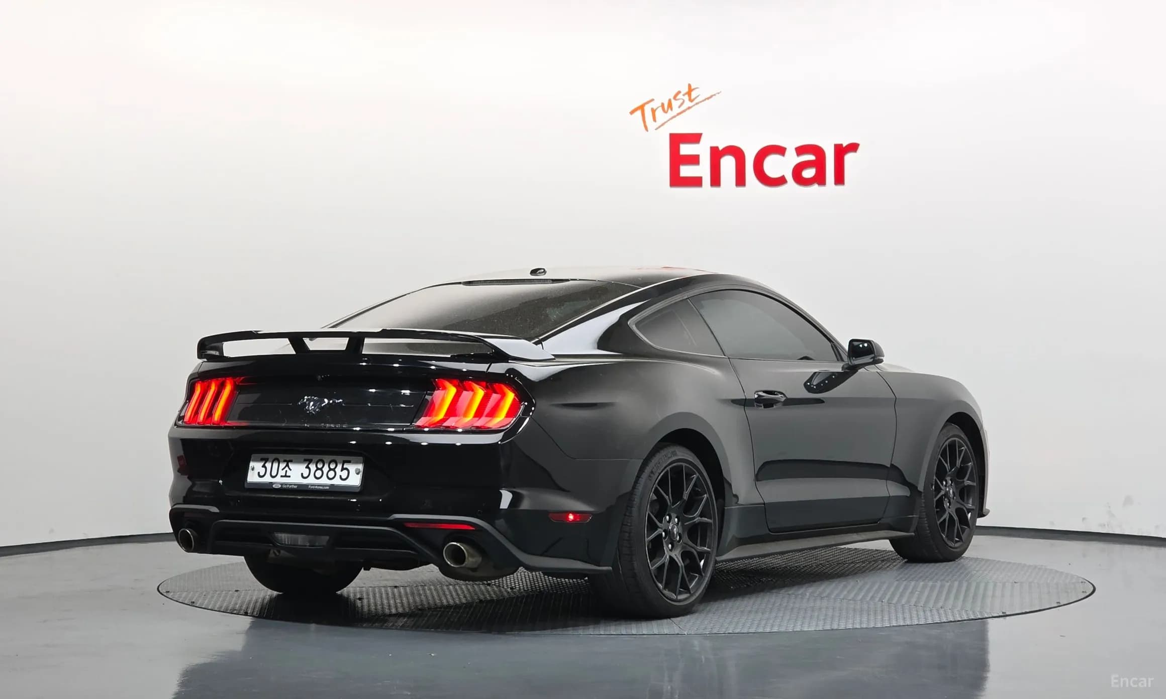 Mustang