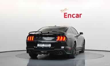 Mustang