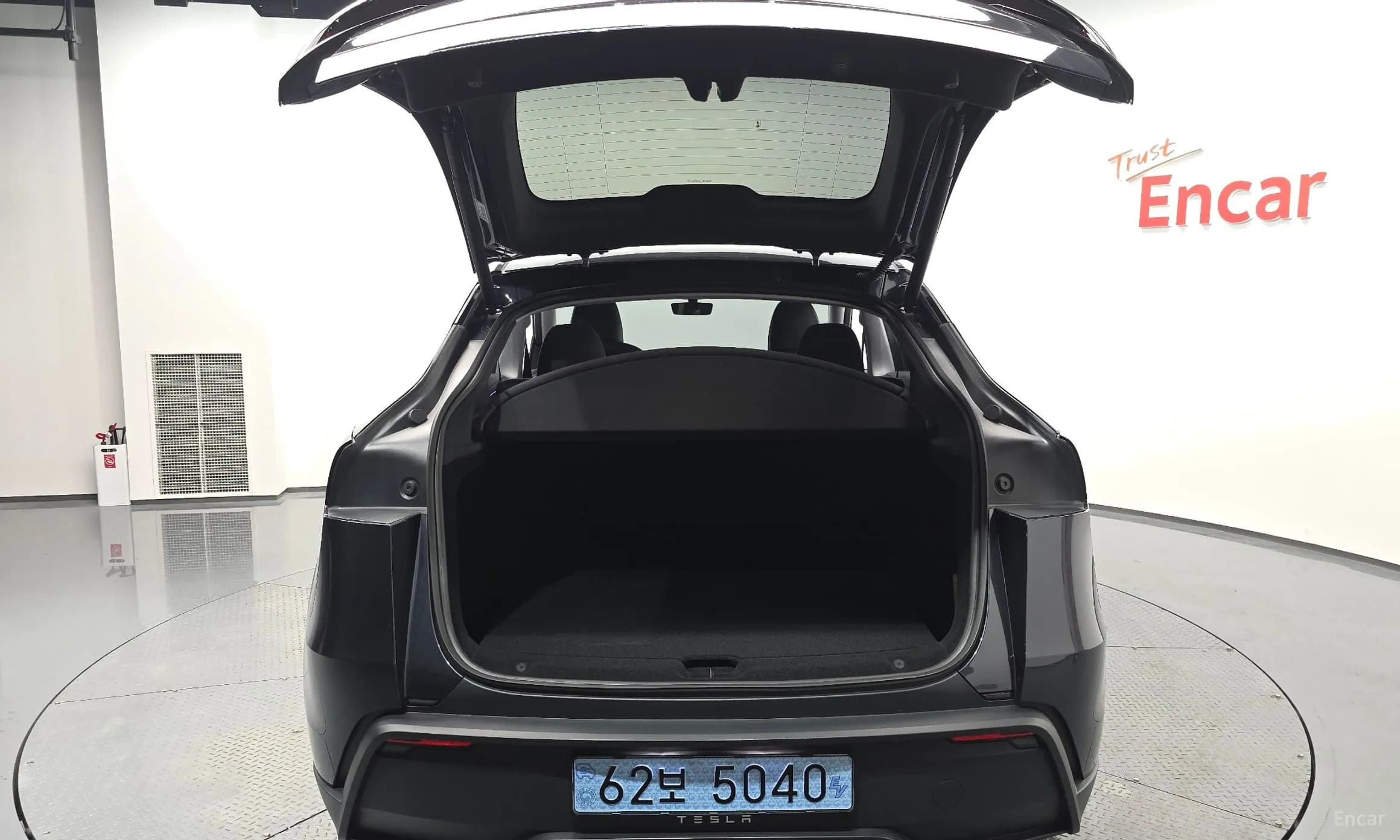 Model Y