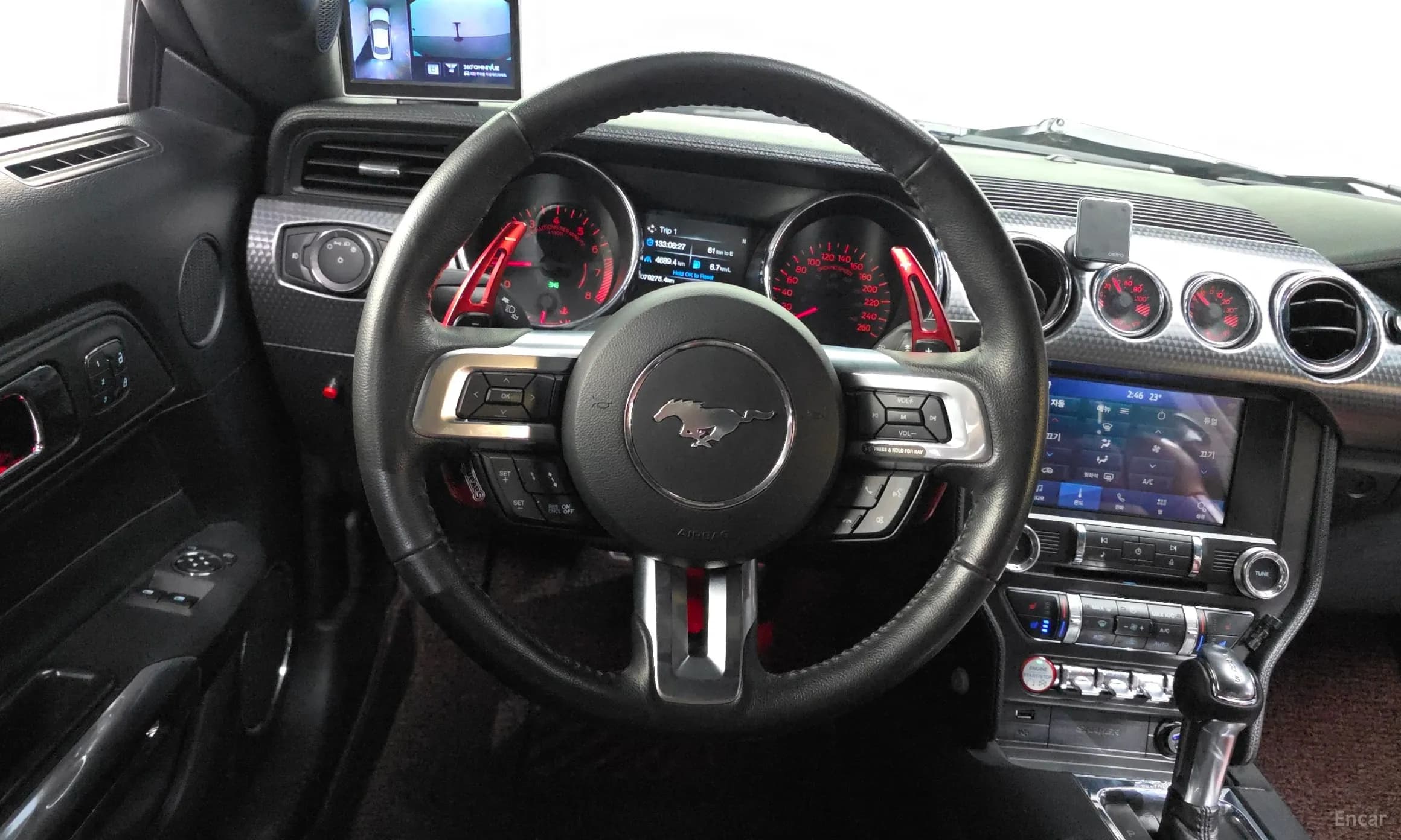 Mustang