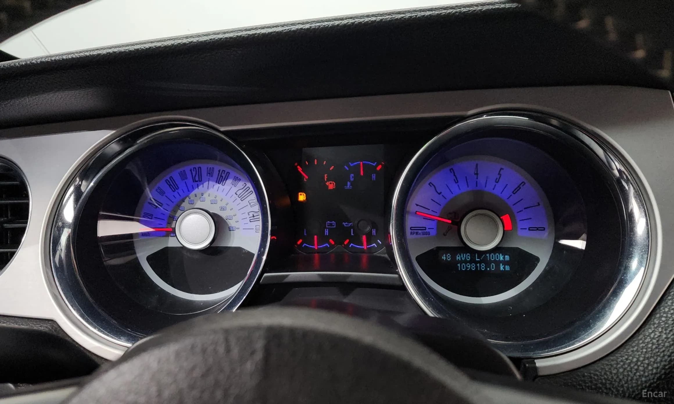 Mustang