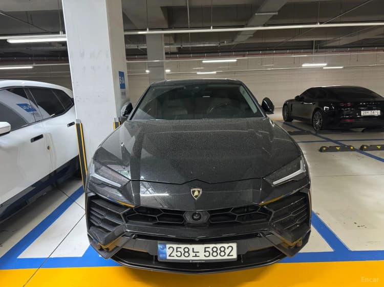 Urus