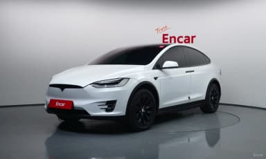 Model X