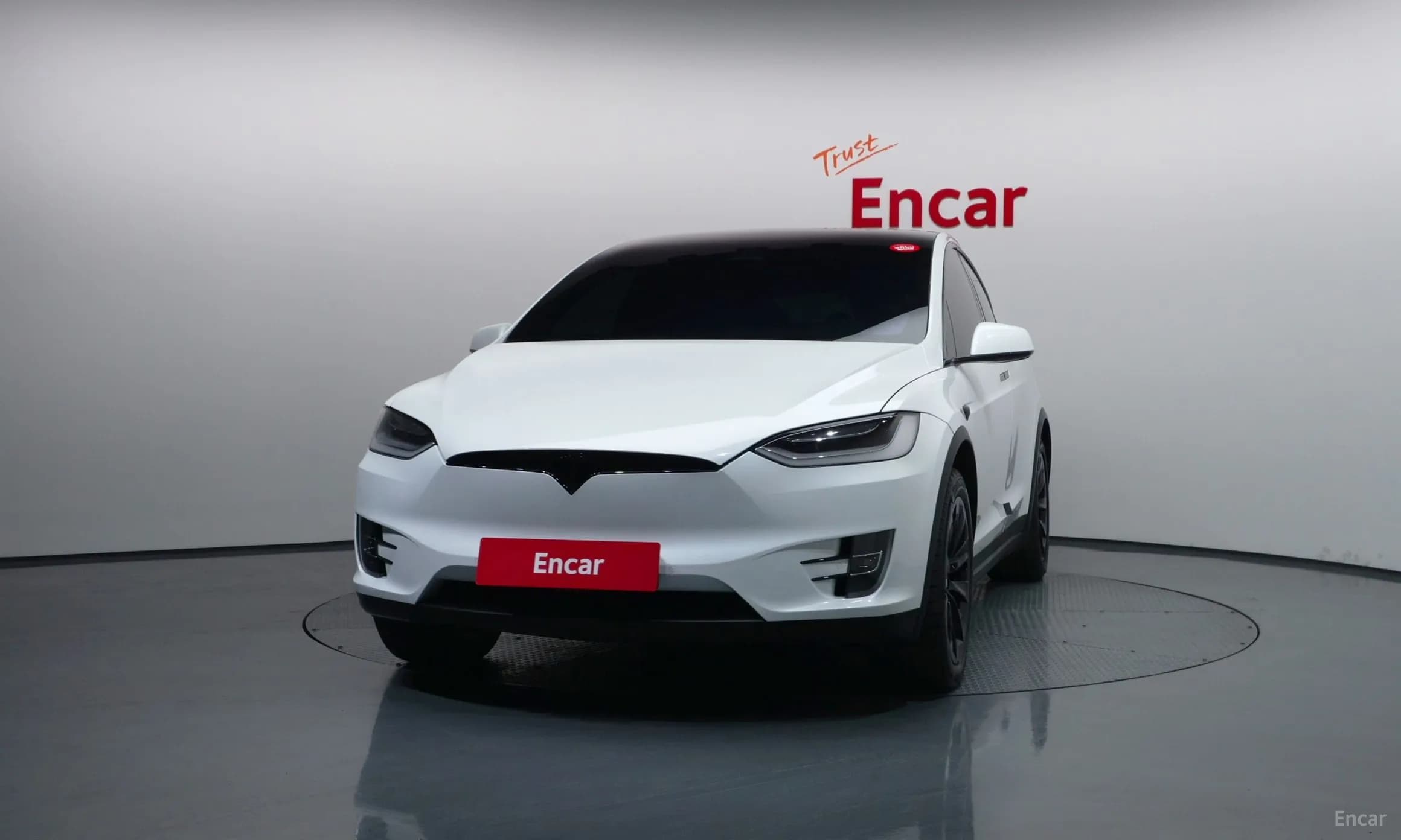 Model X