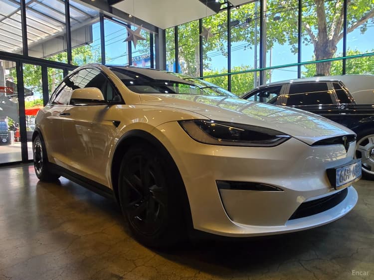 Model X