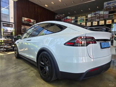 Model X