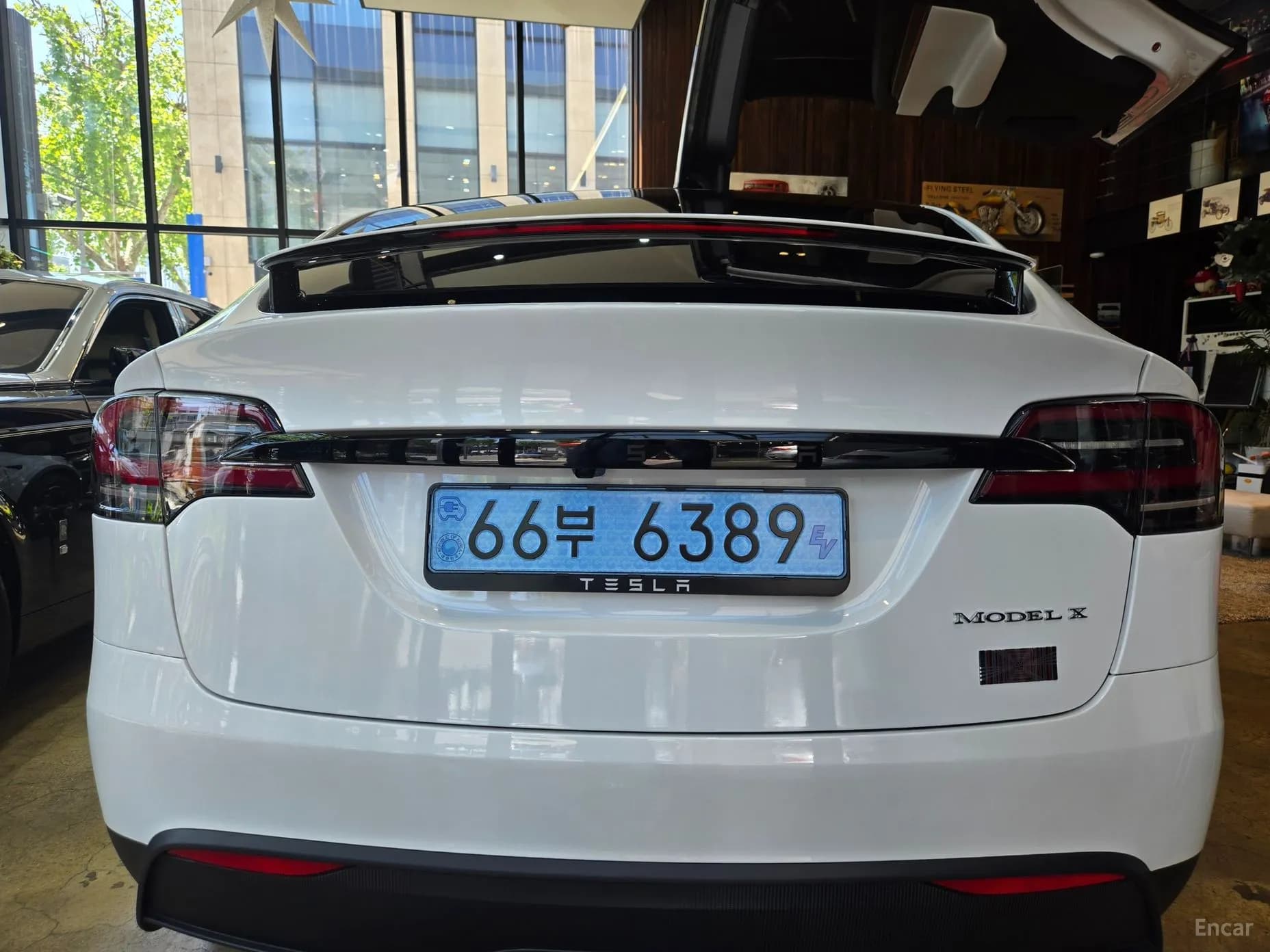 Model X