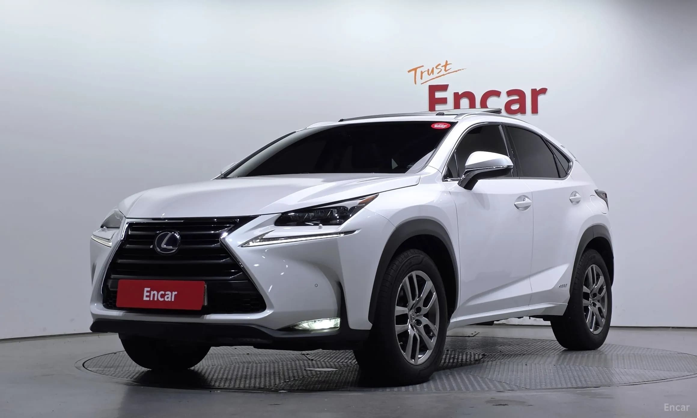 NX300h