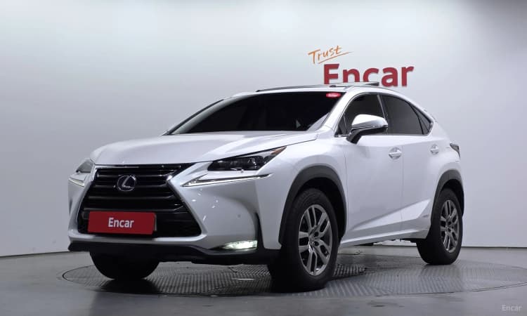NX300h