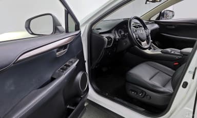 NX300h