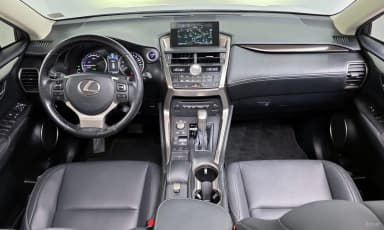 NX300h