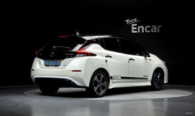Leaf (ZE1)