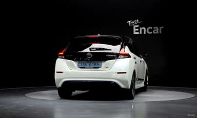Leaf (ZE1)