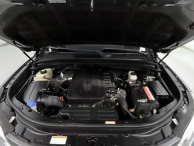 Rexton Sports