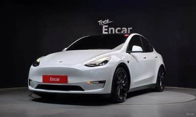 Model Y