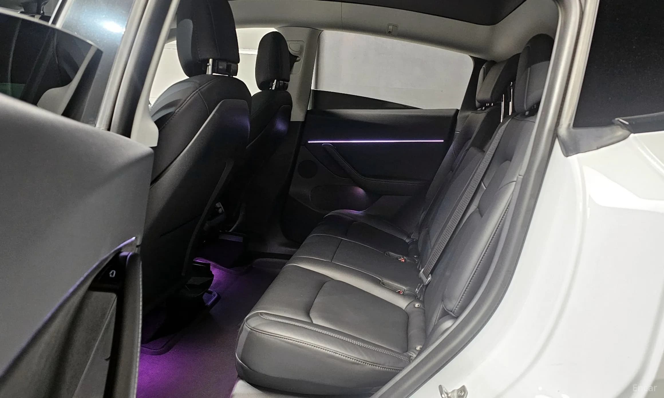 Model Y