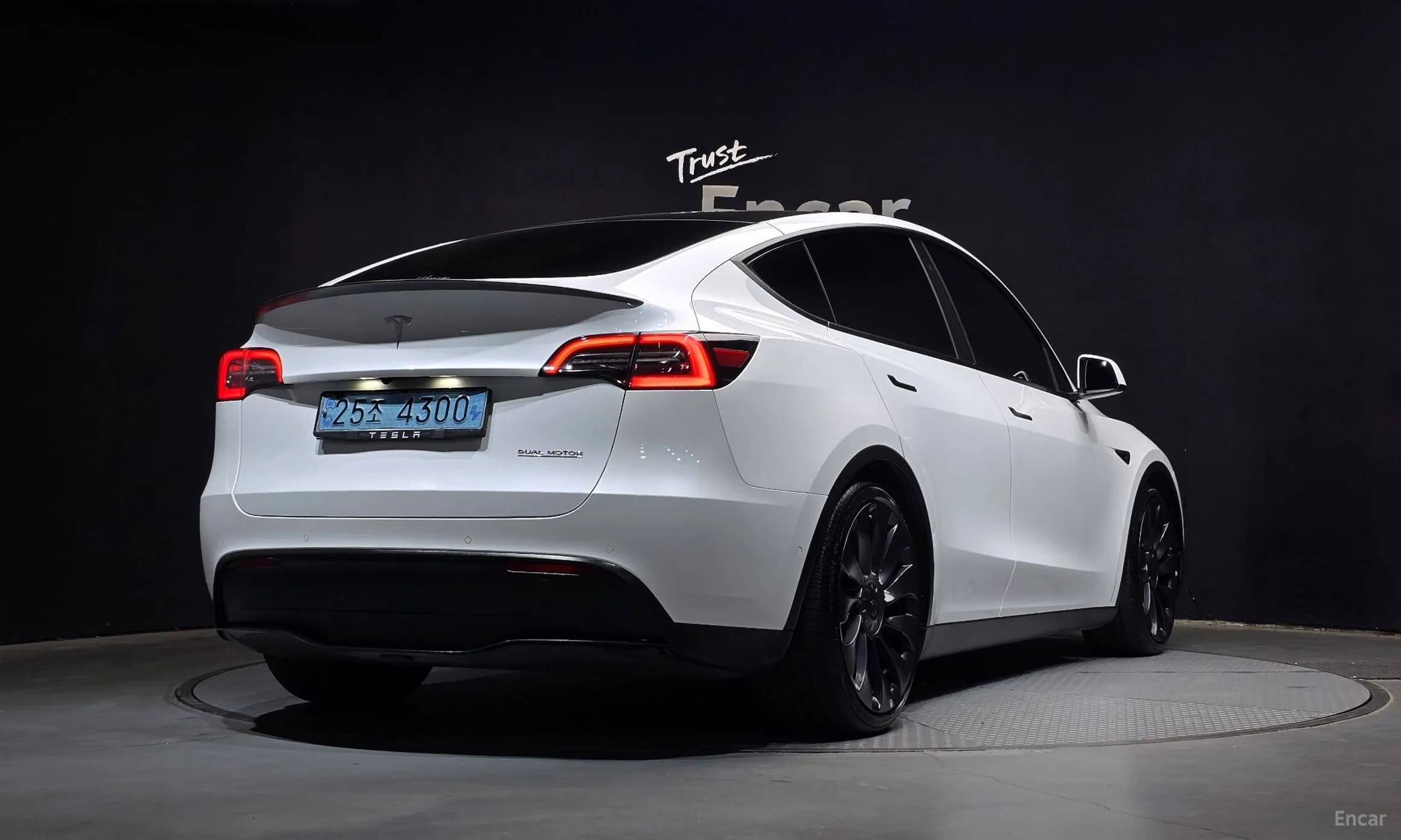 Model Y