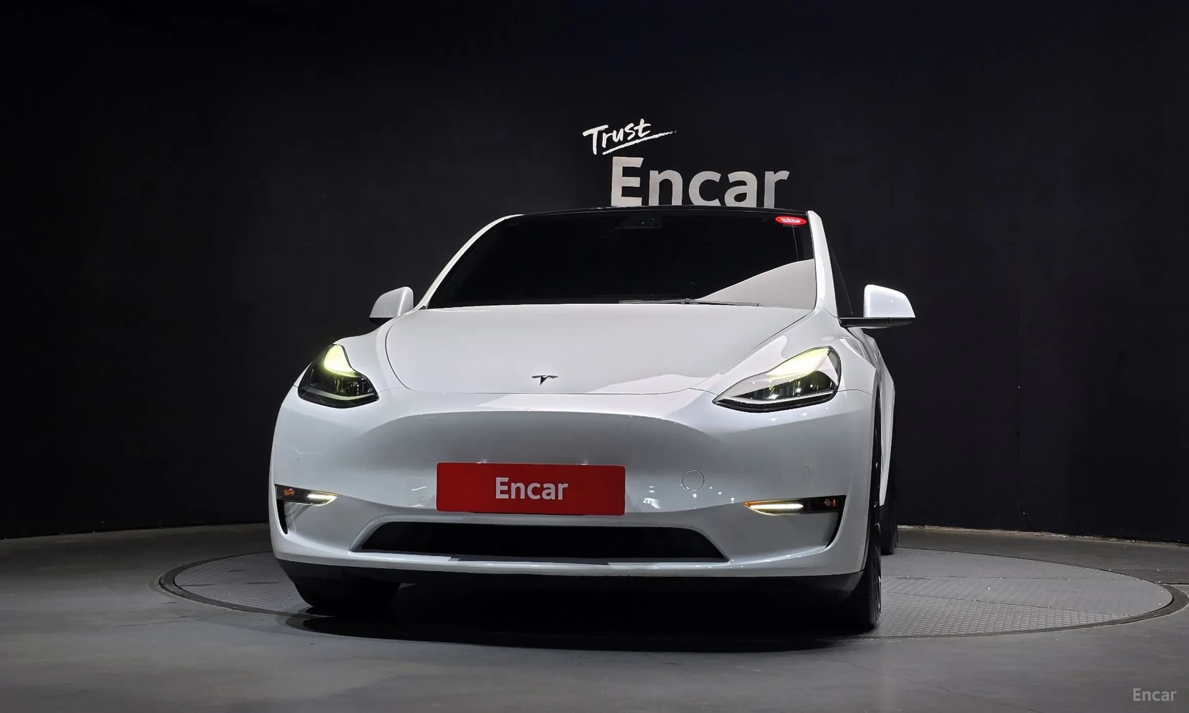 Model Y