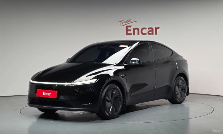 Model Y